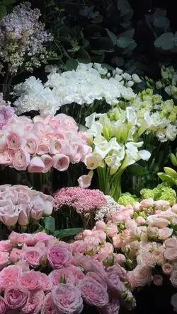 Spring flowers