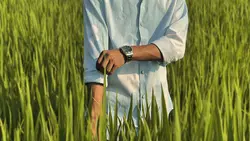 cinematic video 