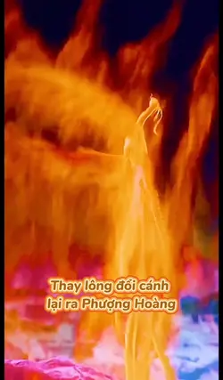 Gà Hoá Phượng Hoàng