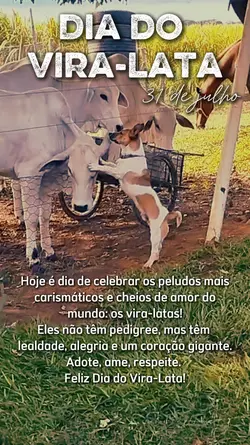 Dia do vira-lata 