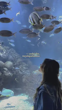 Andai aku mendapatka