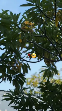 2KLIP SAD