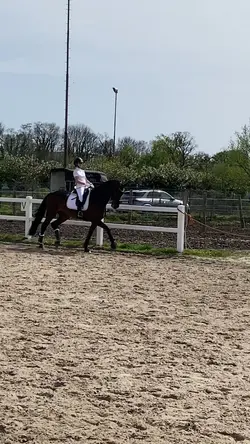 fancy trot 💋