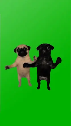 DOG DANCE DUO MEME