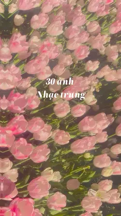 30 ảnh