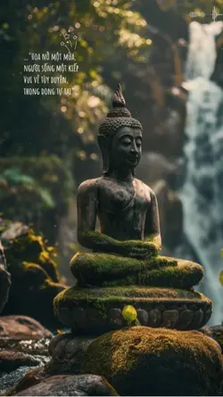 Thong dong tự tại