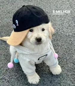 aesthetic 