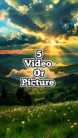 5 video new template