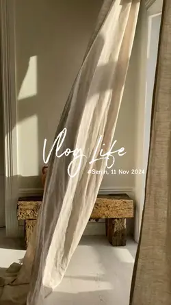 Vlog Life