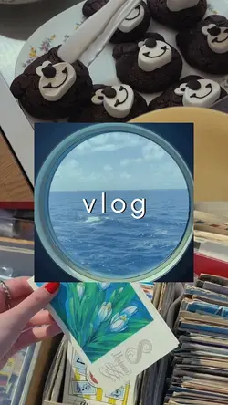 Vlog 