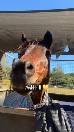 One eyed Barry awhh