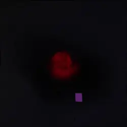 c00lkid