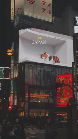 JAPAN TOKYO DRIFT