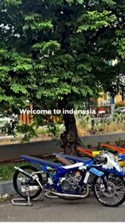 Welcome to indo