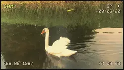 retro cam