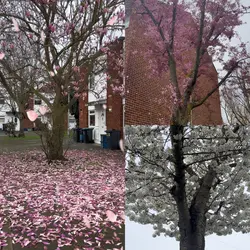 Spring template 
