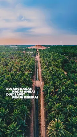 Akus bujang sawit~