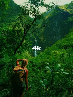 144P to 4K | trend