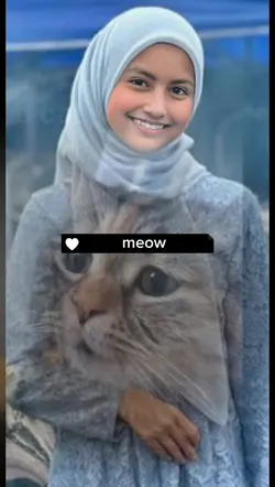 Sad meow 