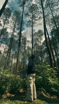Relax at Forest