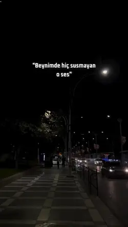 şablon 