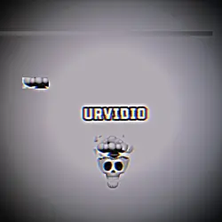 SKULL 1:1 