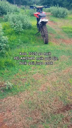 2025