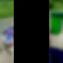 សេដពេកផុសលេង