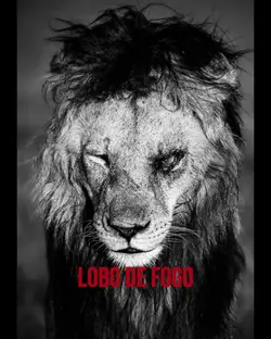  Lobo de Fogo