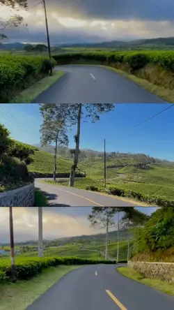 Layout 3 videos