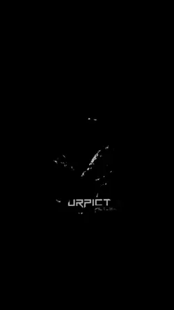 Fvnky bangers