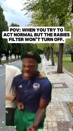 rabies 