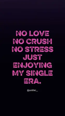 NO LOVE NO CRUSH