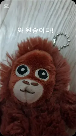 쌈뽕한 원숭이