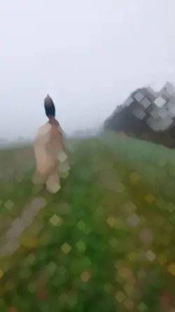 ausreiten