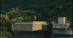 yaaa