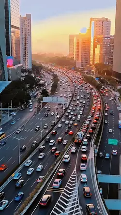 Life in The City