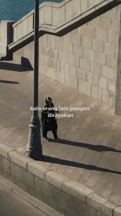 trend