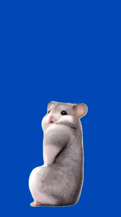 Hamster bailando