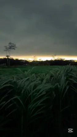 বৃষ্টি আসার আগ মুহূর