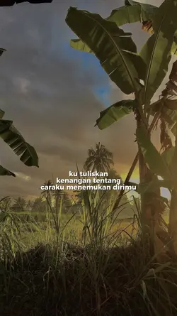 Surat Cinta I Lirik