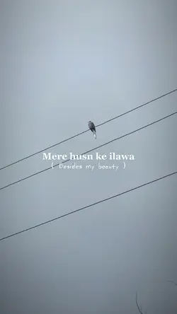 Mere husn ke