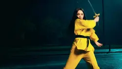 Fine ninja 