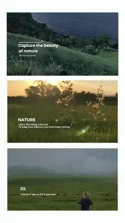 vlog chill nature