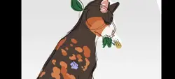 Edit Spootedleaf 