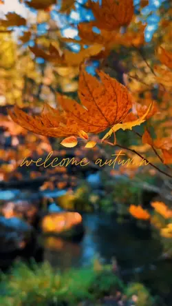 Welcome autumn 
