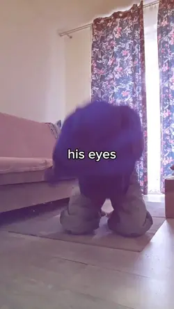 his eyes, his smile