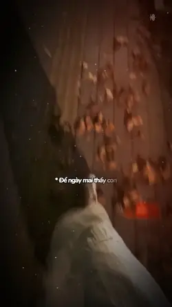 Đôi chân này đã