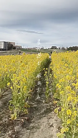 少年時代