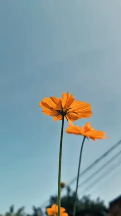 Summer of 69
